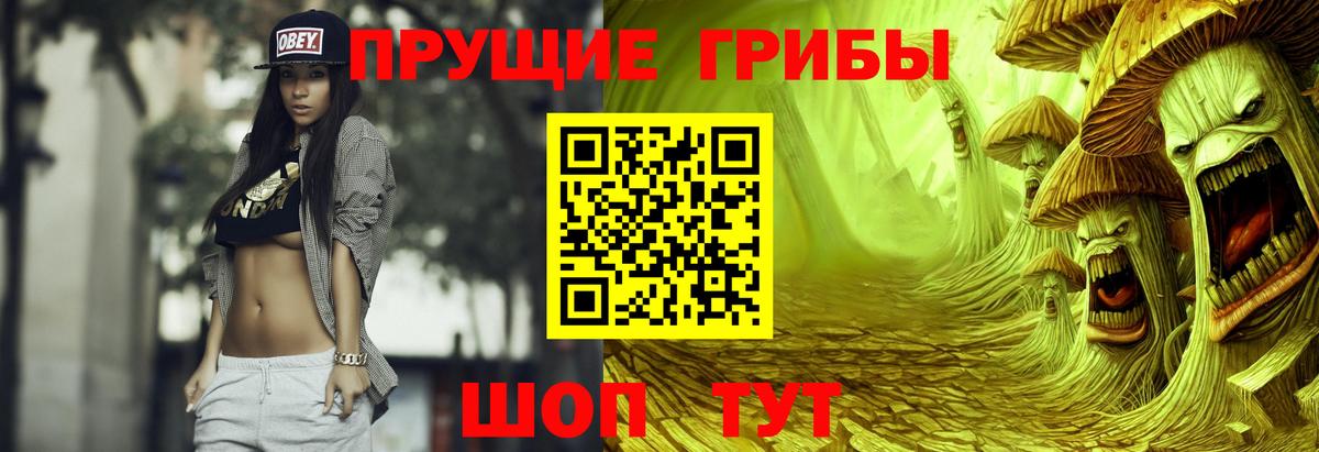 Галлюциногенные грибы GOLDEN TEACHER Нижнеудинск